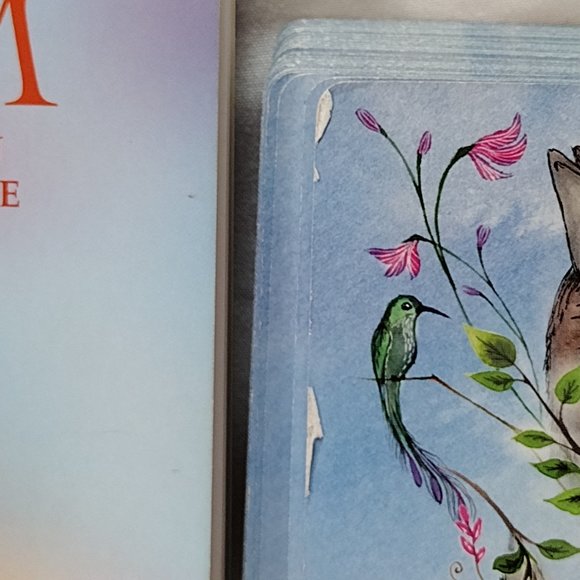 The Animal Wisdom Tarot - Picture 6 of 16